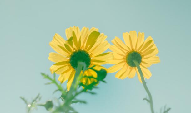 报名成功的文案