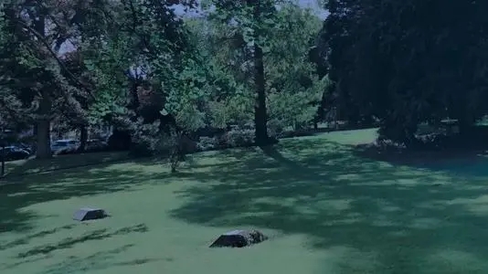 关于月初的文案