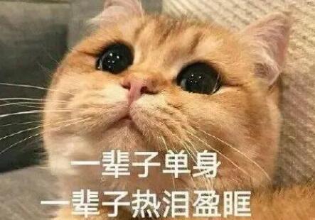 单身很好的文案