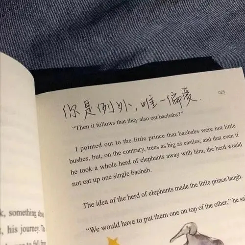 温柔干净的文案有关爱情