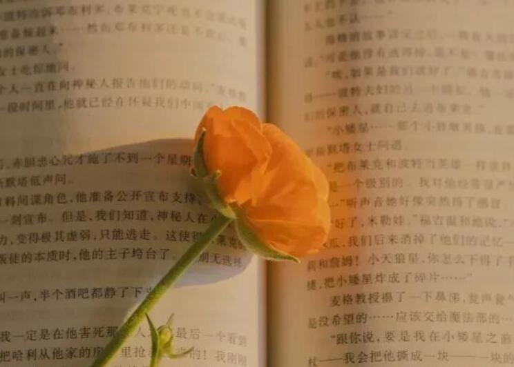 暖心简短文案朋友圈