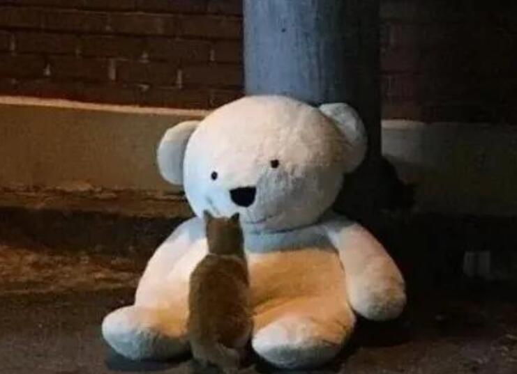 有关影视的文案