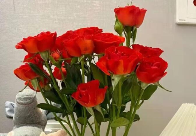 好的文案让我兴奋