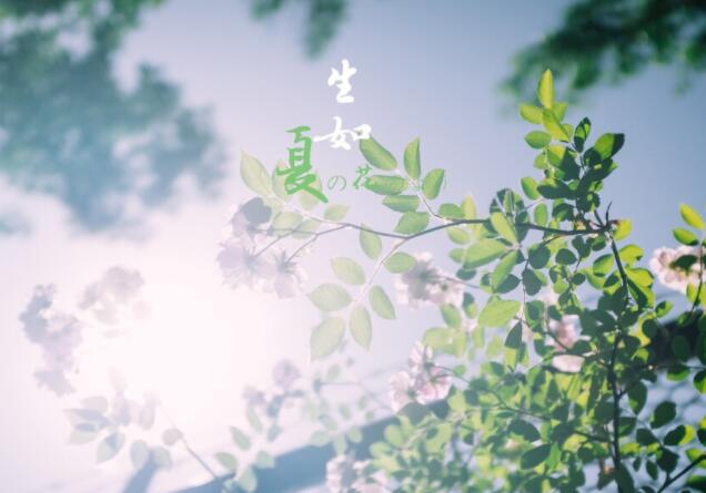 温柔又丧的文案