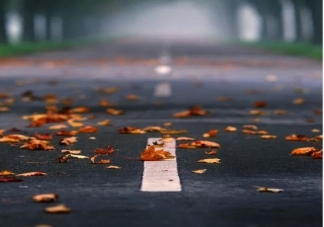 秋天好心情朋友圈文案