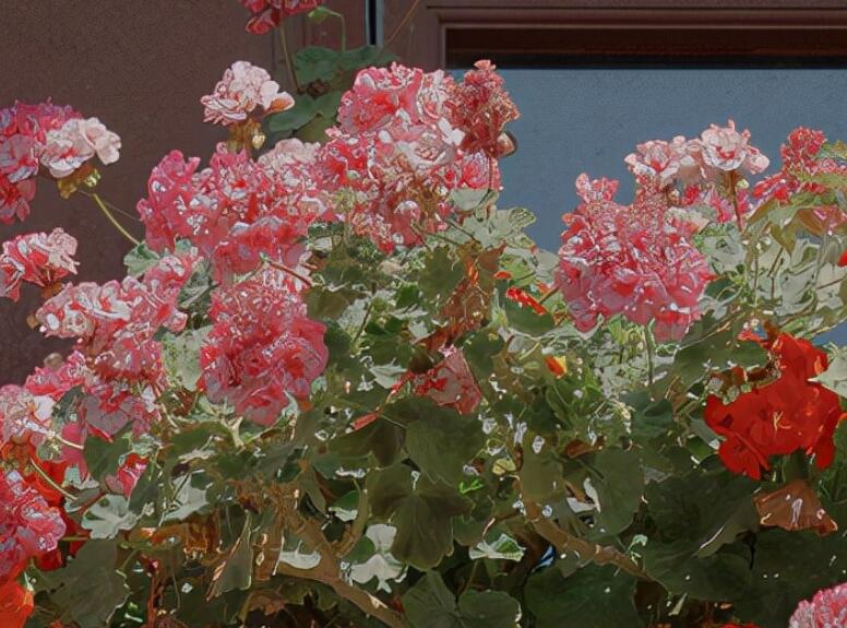 适合女生的文案