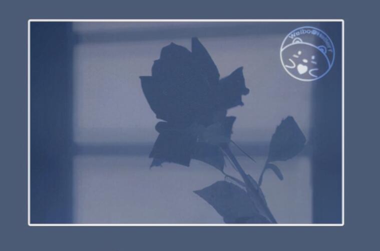 治愈系温柔短句文案