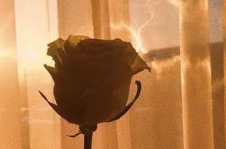 朋友圈文案个性