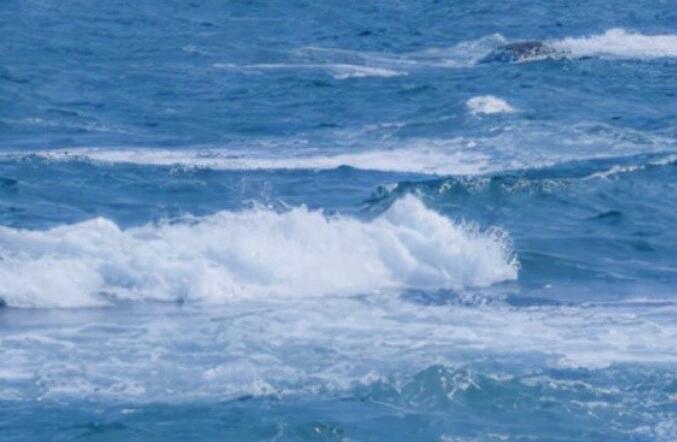 让人心情愉悦的文案