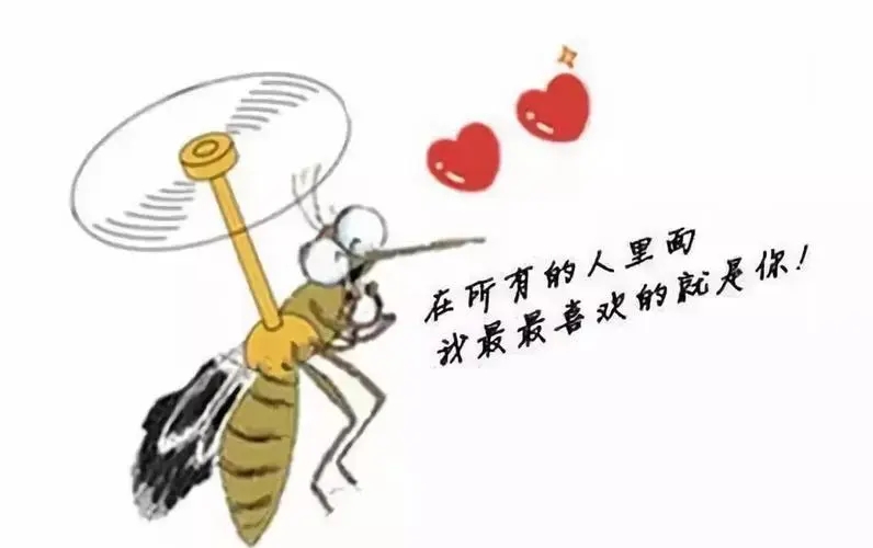 被蚊子咬的幽默文案