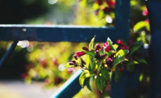 比较生活有趣的文案