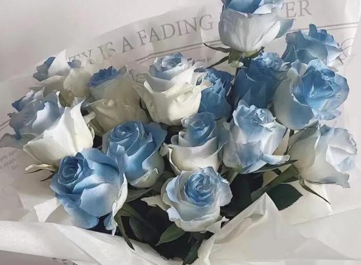 关于花的著名文案