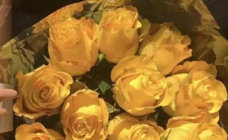 冷战朋友圈文案