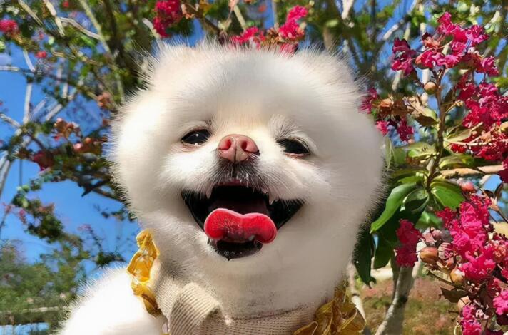 这些文案让你的朋友圈可爱到冒泡