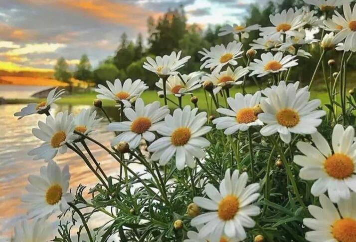 超级温柔的文案长一点