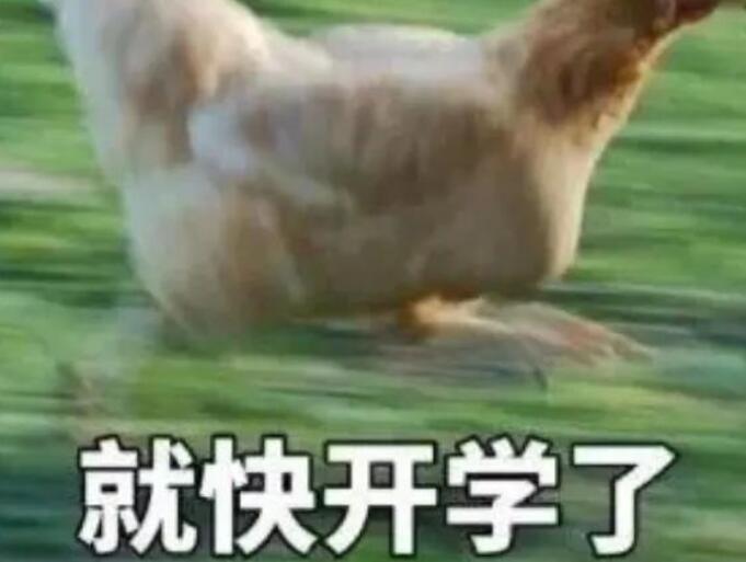 新学期大学开学文案