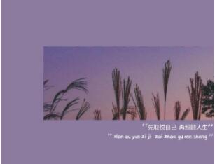 中文加日语文案