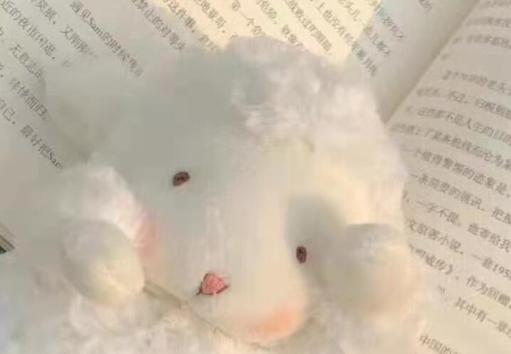 温柔的句子文案长句