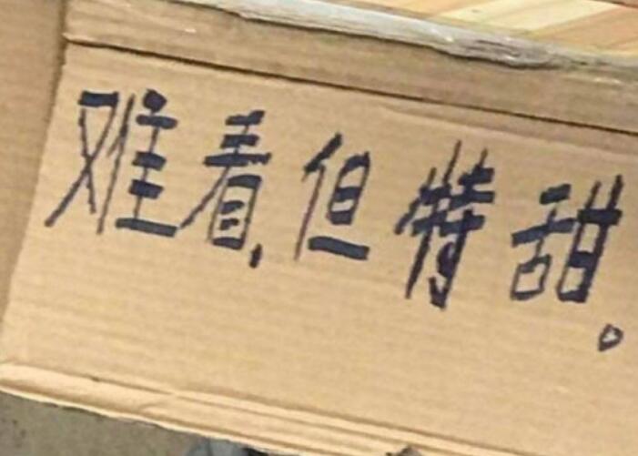 开始锻炼的文案