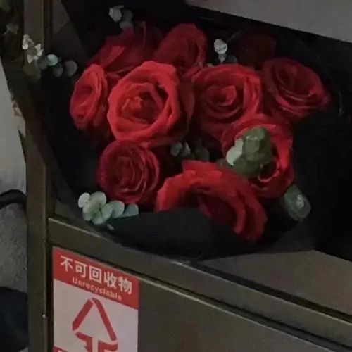 红色玫瑰花的文案