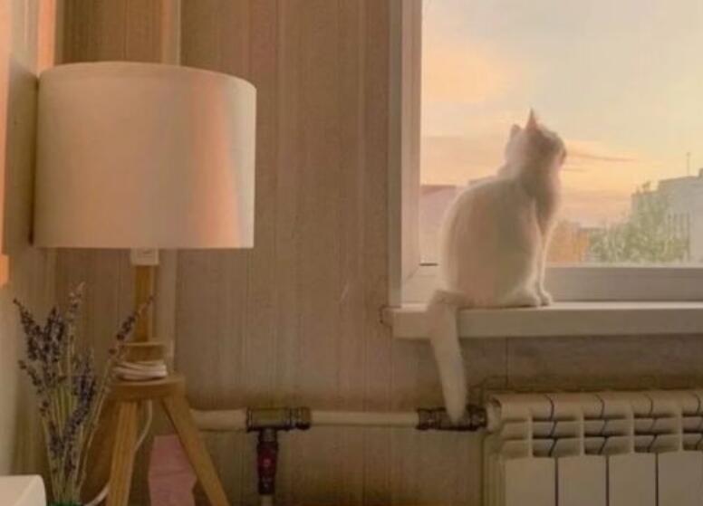 培训机构母亲节朋友圈文案