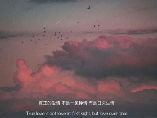 关于日久生情的文案