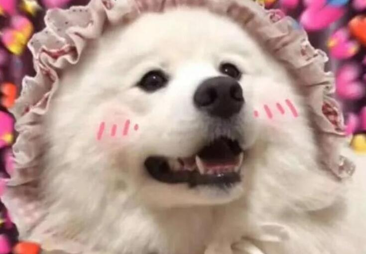 自拍朋友圈文案可爱