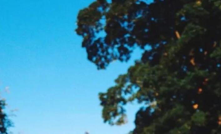 超级励志的神仙文案