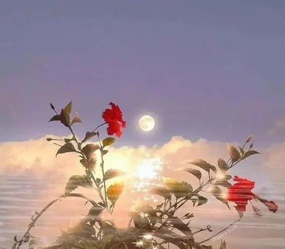 女孩子正能量文案