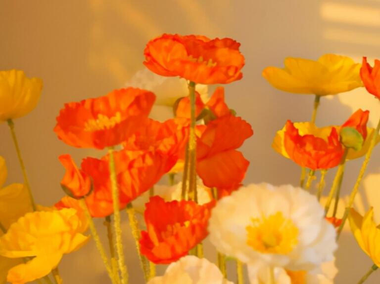 温柔干净的文案无关爱情短句