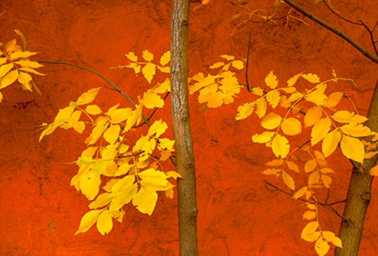 有主题的文案配图