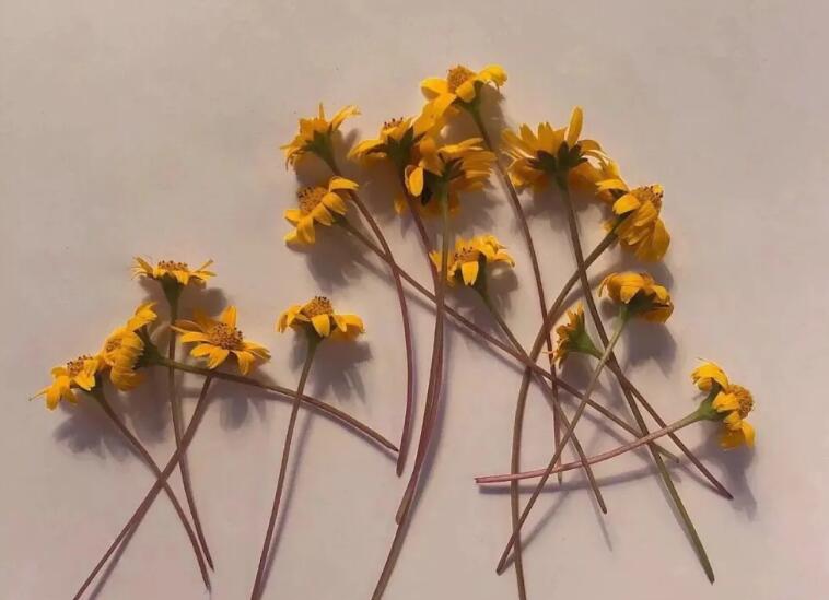 2024年适合发的文案