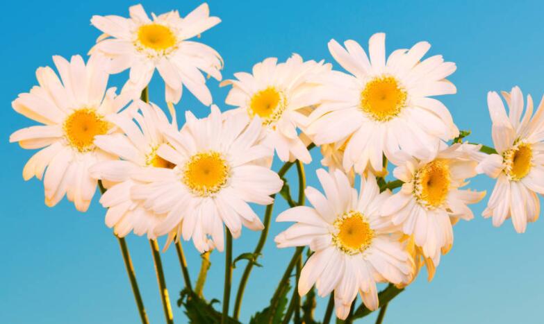 朋友圈发成绩的文案