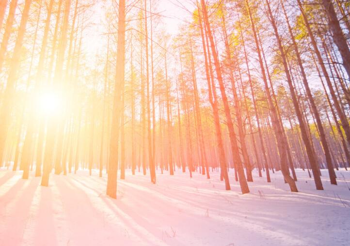 办公室朋友圈励志文案