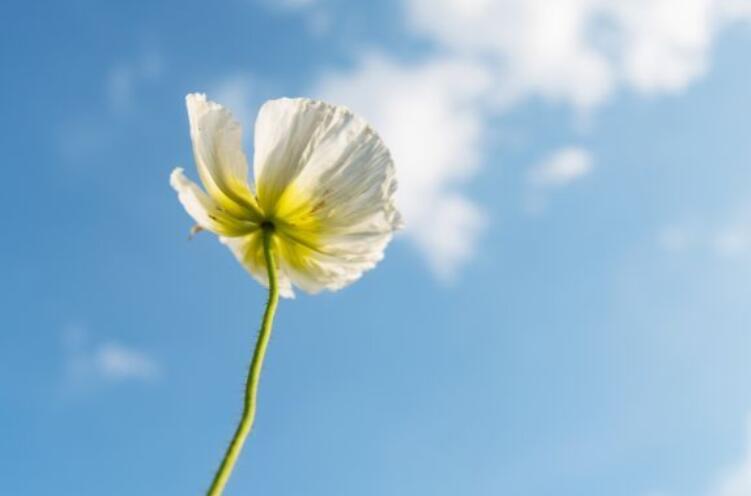 天气心情朋友圈唯美文案