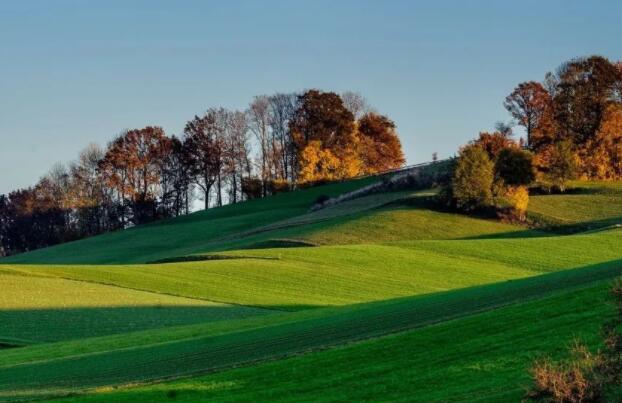 用自己漫画的文案