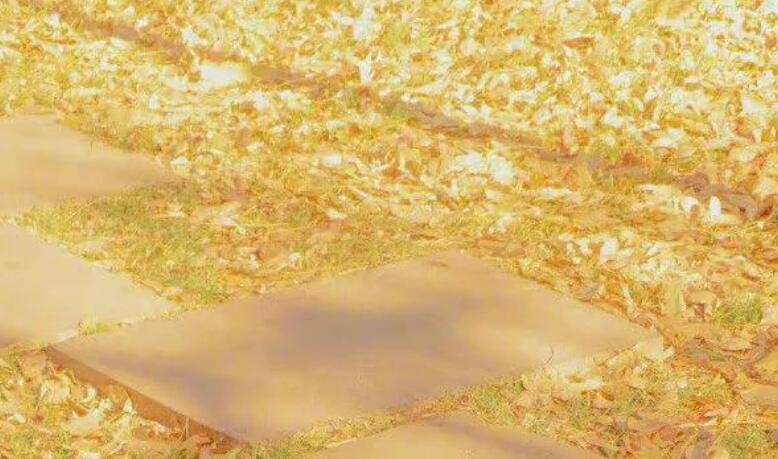 你是我的白月光文案