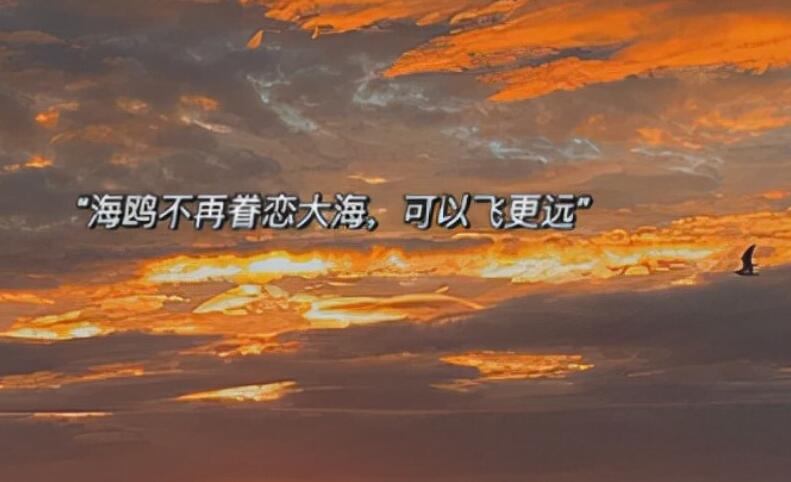 优美文案加图片