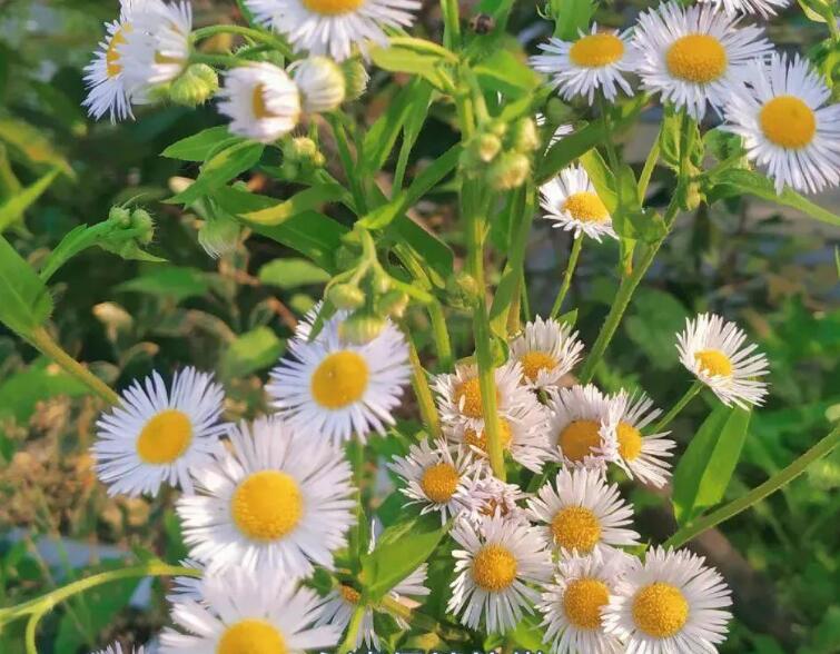 五一意外文案素材