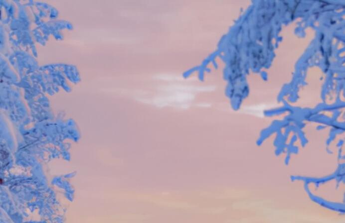 情感文案暖心长句