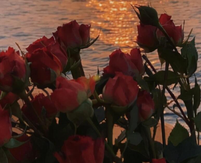 励志文案正能量治愈干净配图