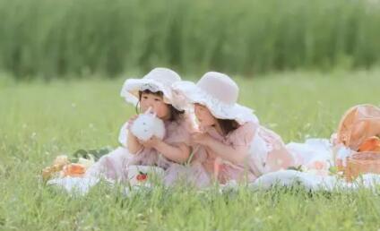 双胞胎一起成长的文案