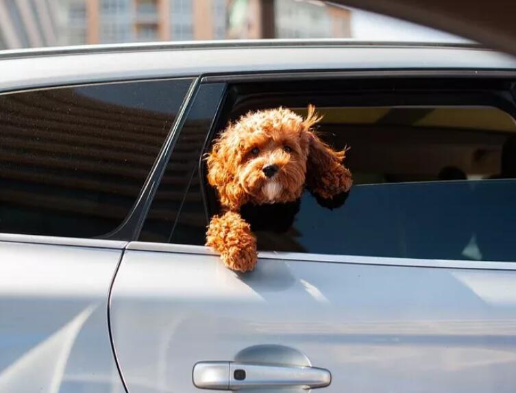 推荐朋友圈加好友文案