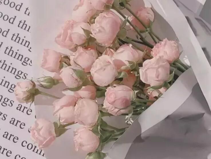 关于玫瑰花的文案短句