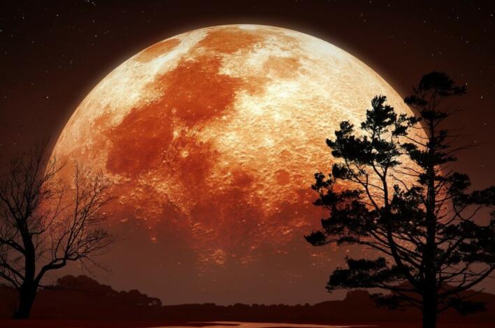 唯美星空的简短文案