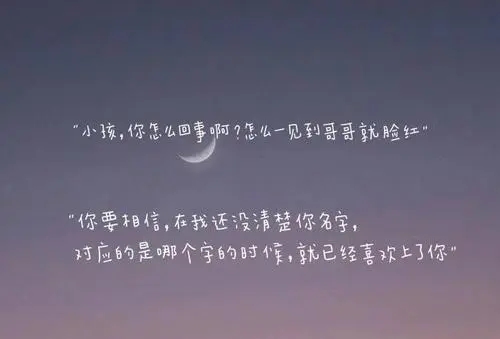 一些小说里的文案