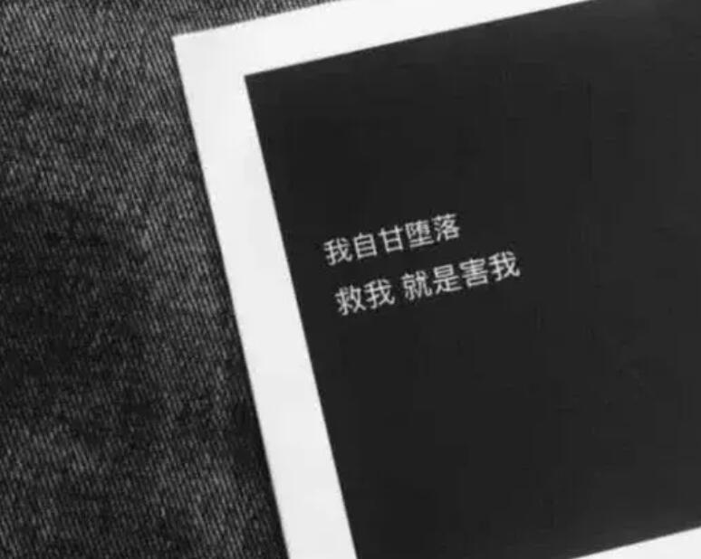 丧又温柔的文案英文带翻译