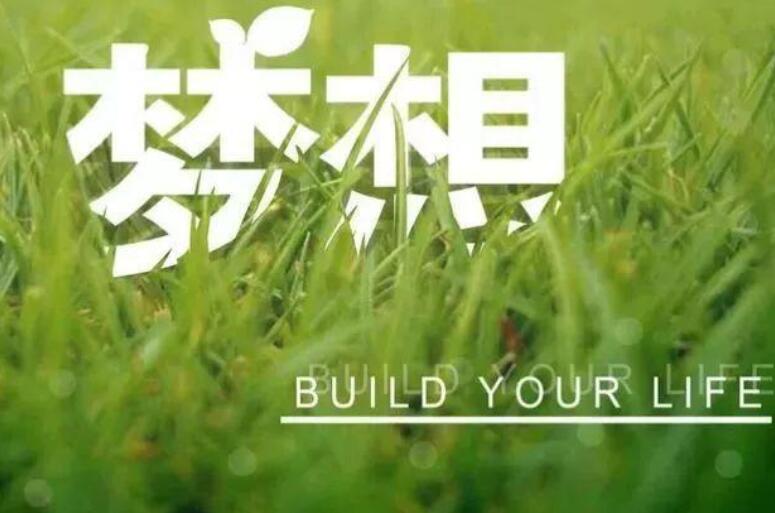 视频号讲师文案