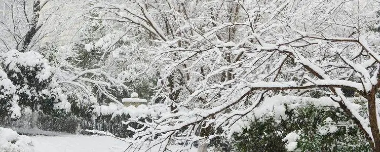 适合大雪的文案