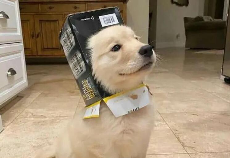 自拍朋友圈文案可爱